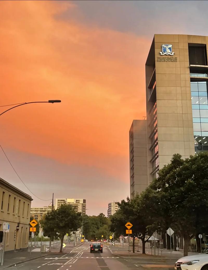 纽约州立大学布法罗分校